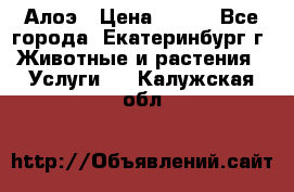 Алоэ › Цена ­ 150 - Все города, Екатеринбург г. Животные и растения » Услуги   . Калужская обл.
